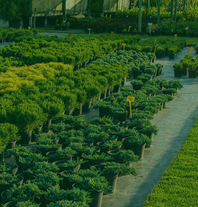 Nursery Growers