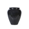 Plastic Wine-Jar