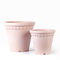 Indoor Ceramic Plant Pots