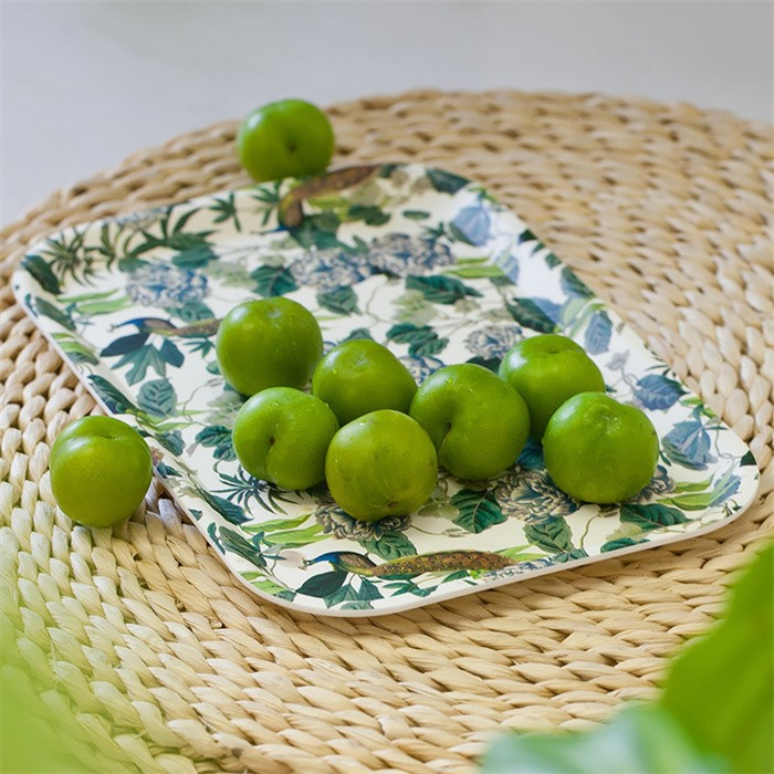 Food Tray