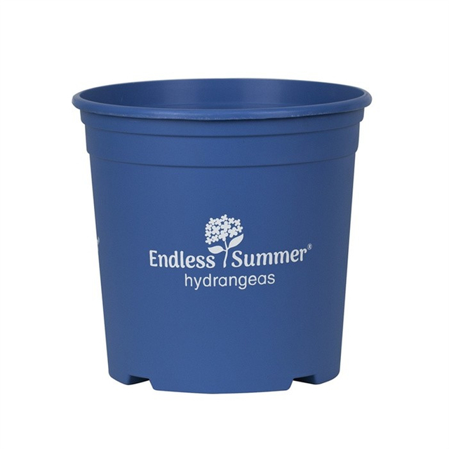 Rhododendron Special Pot