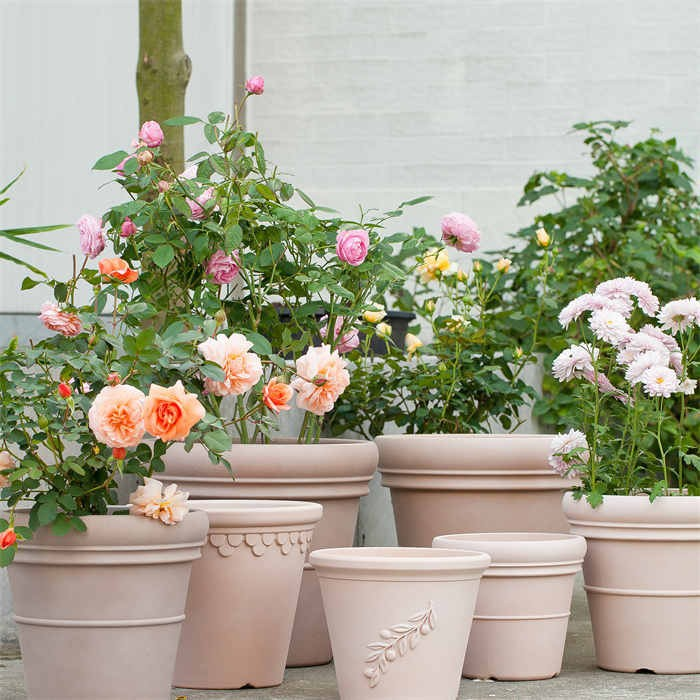 Flower Pot Plastic