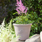 10 Ceramic Flower Pot