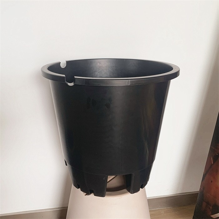 Nursery Planter For Blueberry