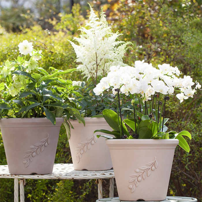 Plastic Planter05
