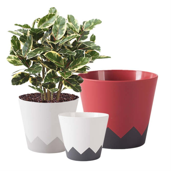 Mini Geometric Pot for Tabletop07