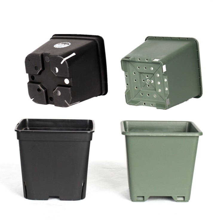 14 Inch Square Blueberry Pot Supplier