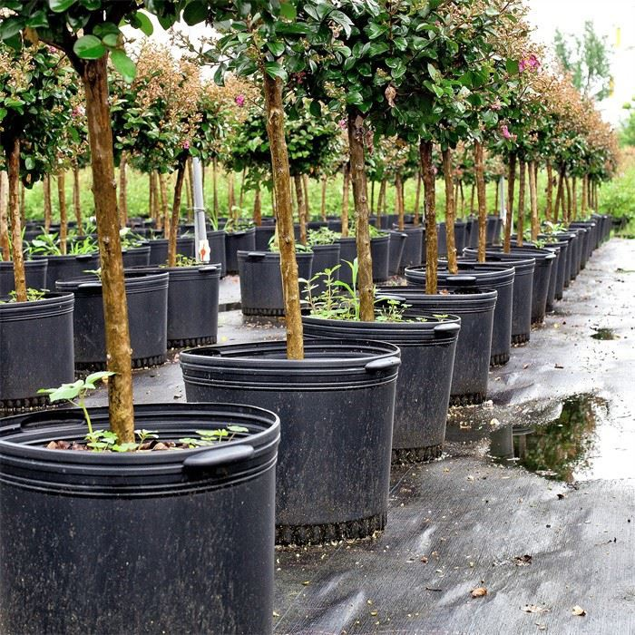 5 Gallon Nursery Plant Pot
