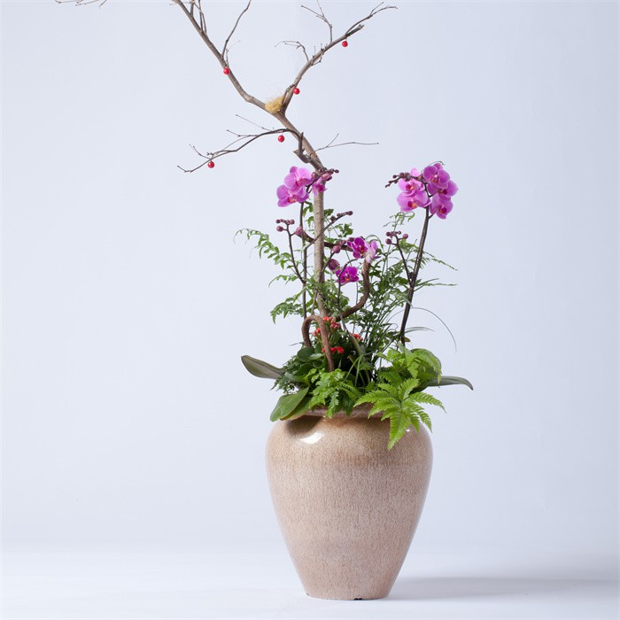 product-700-700