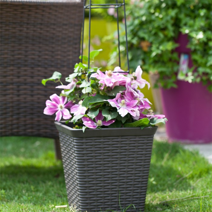 product-700-700