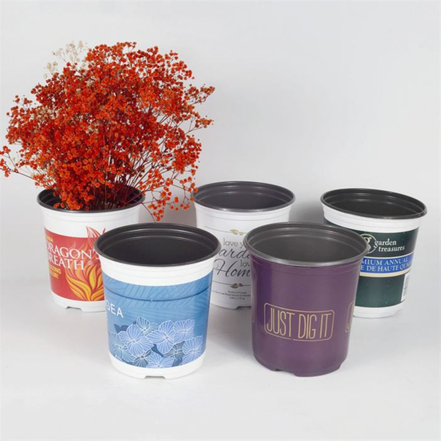 Vacuum Formed Seedling Pot