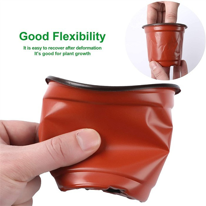Square Seedling Cups