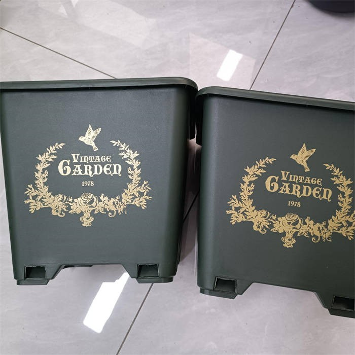 10 Square Blueberry Planter06