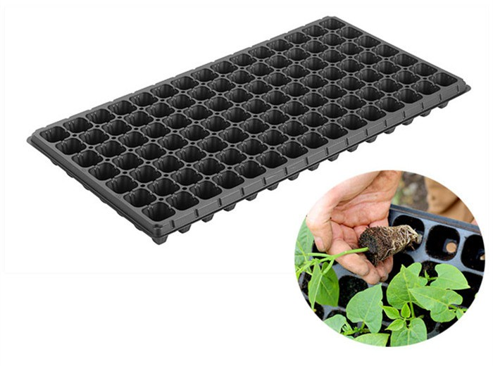 product-700-520