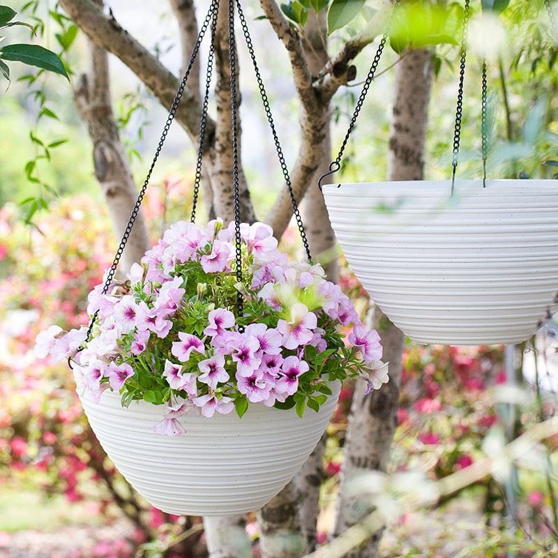 Indoor Plastic Hanging Basket