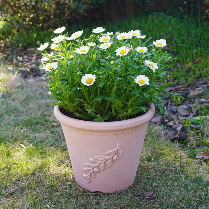 upside down plant pot07