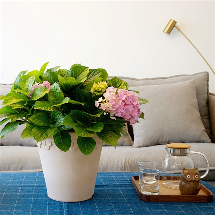 outdoor flower pot05