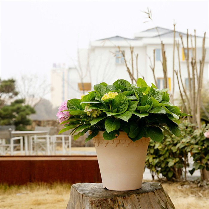 Plastic Pots Flower
