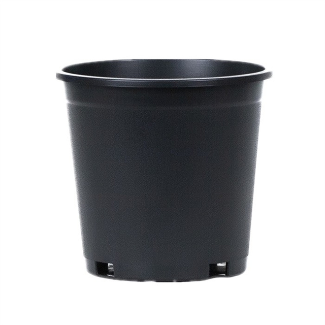 0.5 Gallon Wholesale Nursery Pot