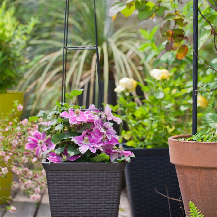 Rattan Flower Pot Outdoor05