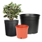 2 Gallon Round Pot