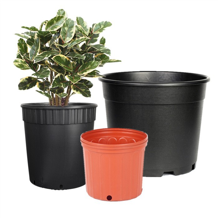 2 Gallon Round Pot
