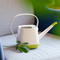 Small Indoor Watering Can