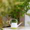 Garden Plastic Watering Can