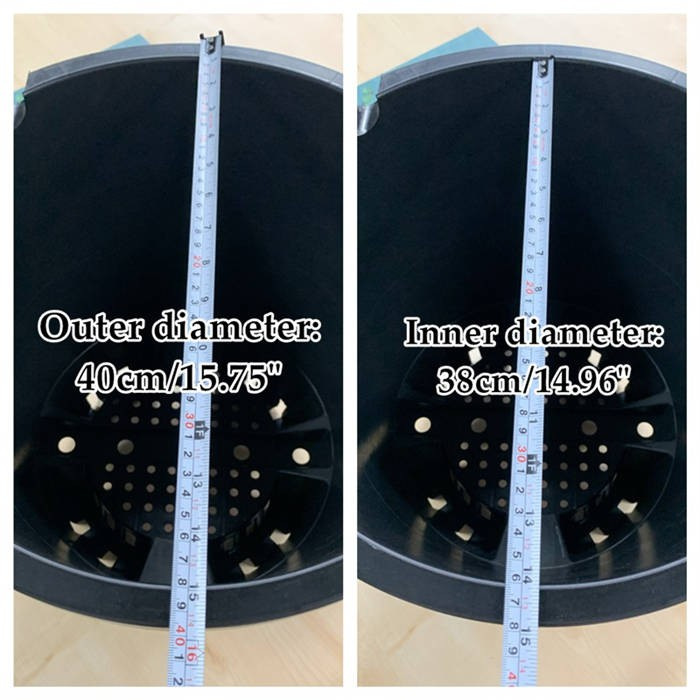 25L Blueberry Pot06