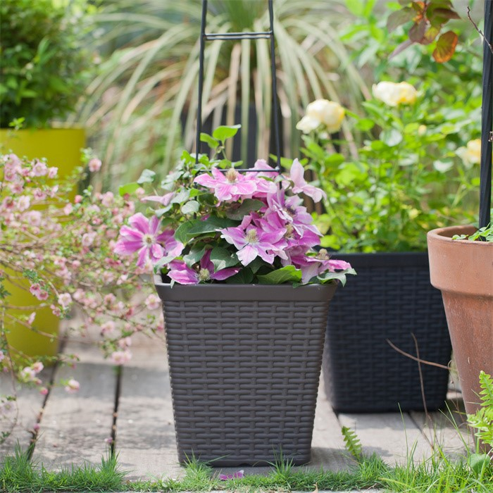 wicker flower planter05