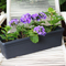 Long Planter For Herbs