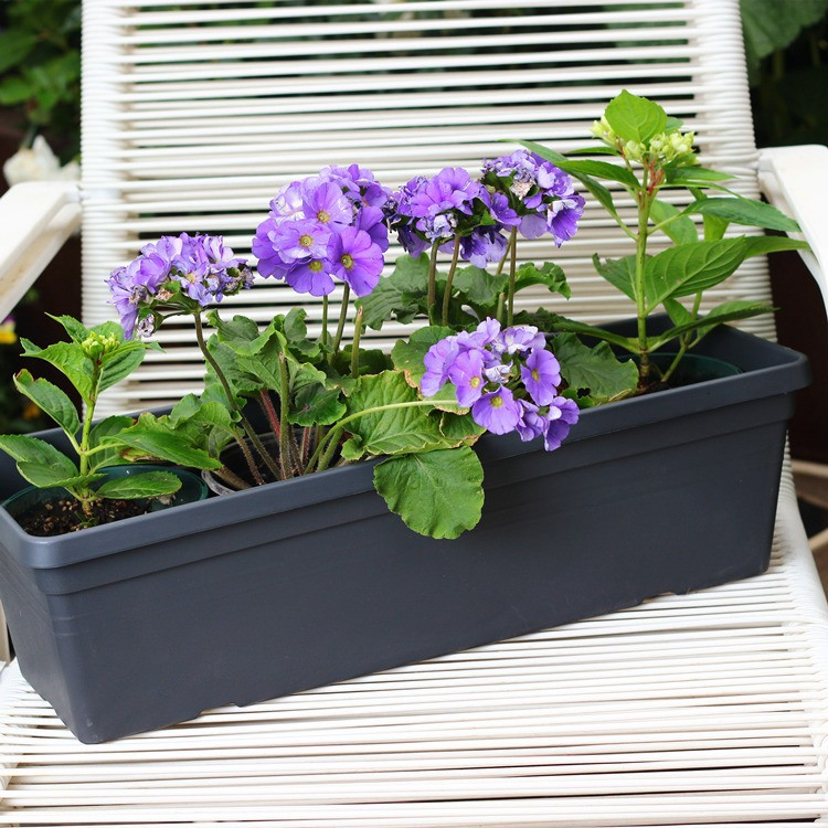 Long Planter For Herbs