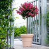 Milan 9 inch Plastic Flower pot