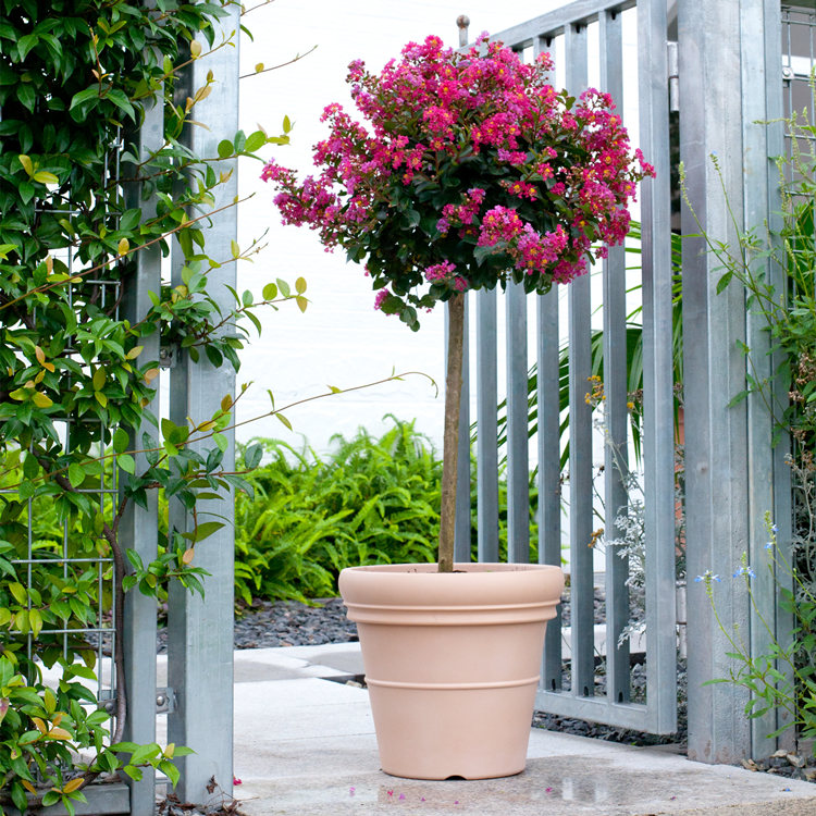 Milan 9 inch Plastic Flower pot
