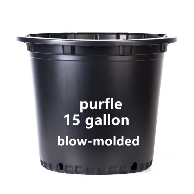 15 Gallon Purfle Nursery Pot