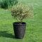 15 Plastic Plant Pot