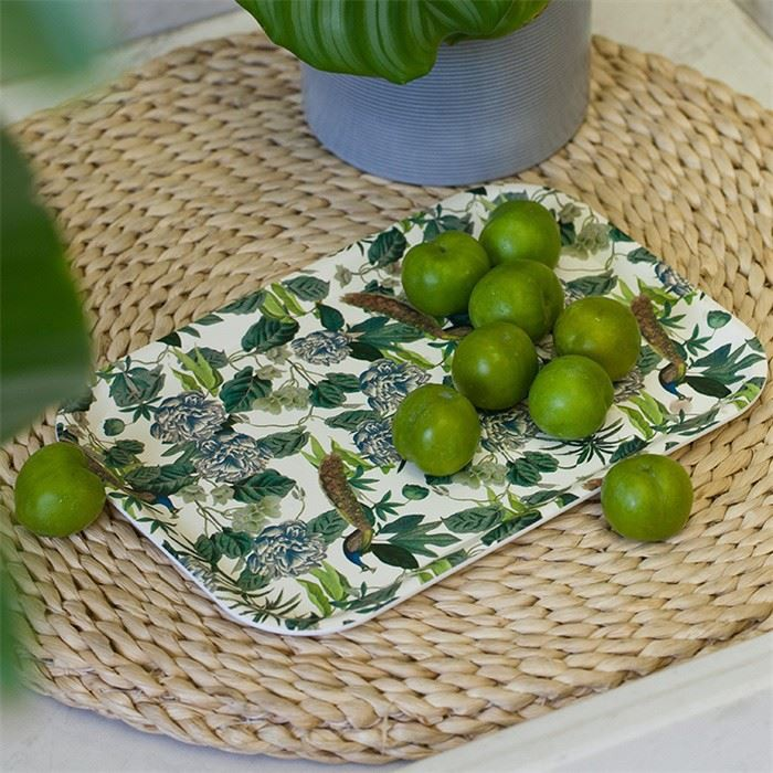 Food Tray Plastic