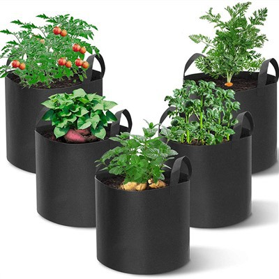 Where Can I Buy Plant Grow Bags?