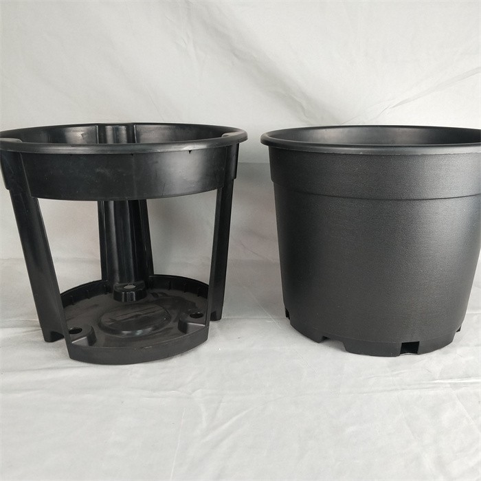 Rhododendron Special Pot