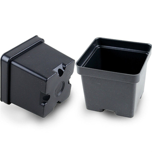 3" Square Co Ex Pot