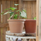 Round Resin Flower Pot