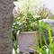 Small Outdoor Flower Pot