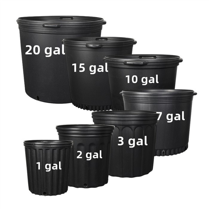 15 Gallon Nursery Plant Pot
