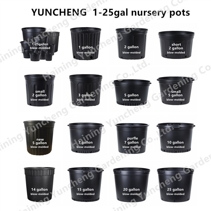 15 Gallon Pot For Plant