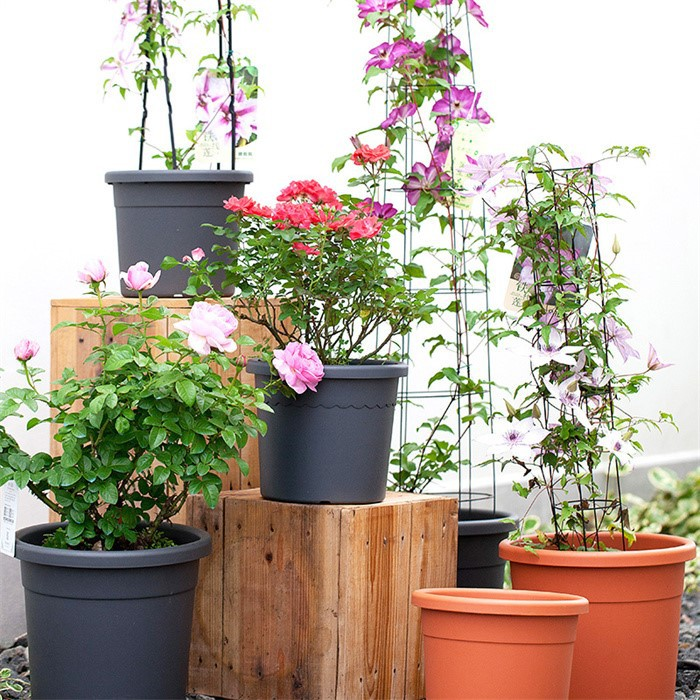 product-700-700