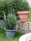 Large-Caliber Plastic Flower Pot