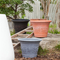Home Gardening Decoration Pot