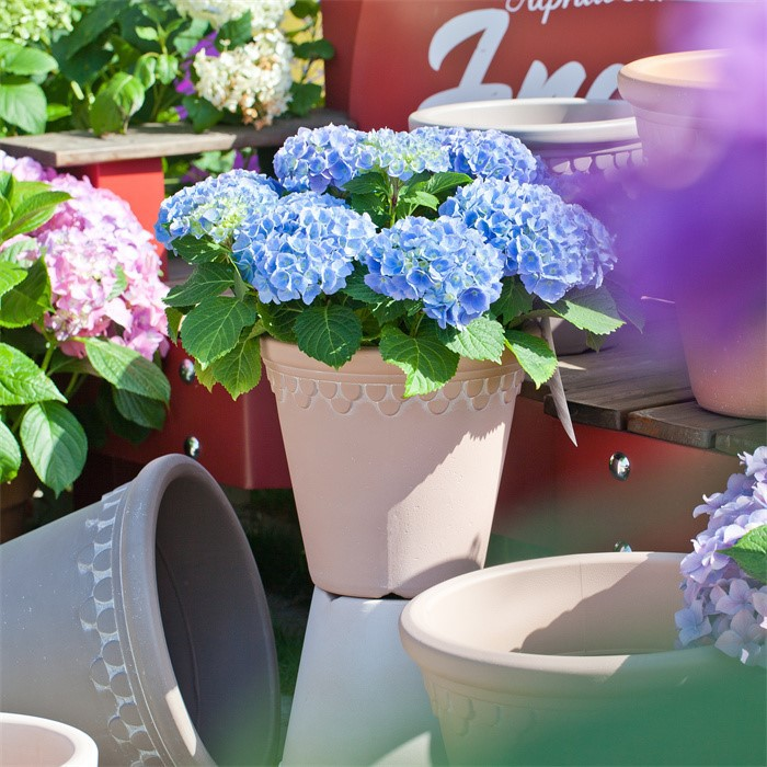 wholesale planter plastic flower pot05