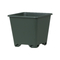10 Square Blueberry Pot