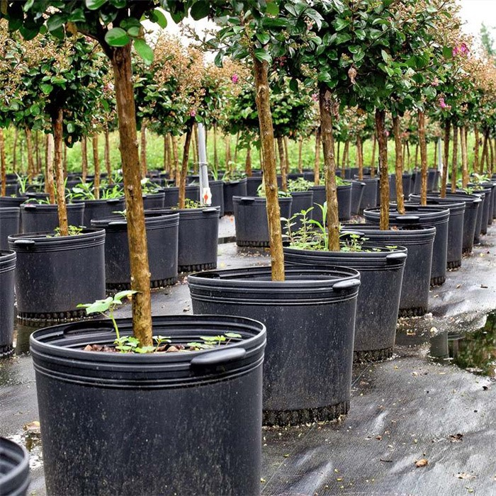 2 Gallon Nursery Plant Pot07